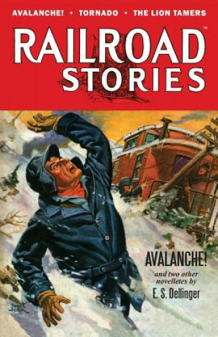 Kniha Railroad Stories: Avalanche! E S Dellinger