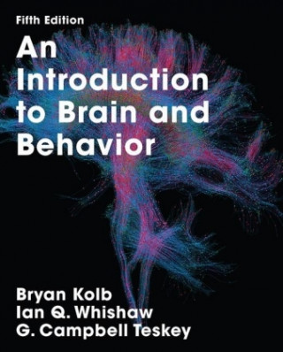 Kniha Introduction to Brain and Behavior Bryan Kolb