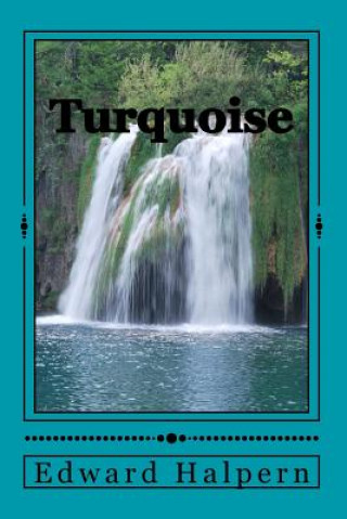 Knjiga Turquoise MR Edward Halpern
