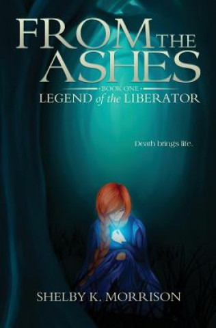 Kniha From the Ashes Shelby K Morrison