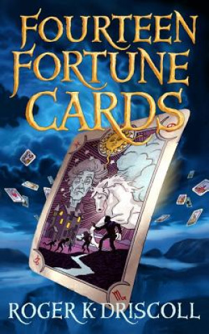 Buch Fourteen Fortune Cards Roger K Driscoll