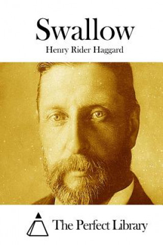 Livro Swallow Henry Rider Haggard
