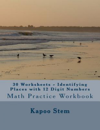Carte 30 Worksheets - Identifying Places with 12 Digit Numbers: Math Practice Workbook Kapoo Stem