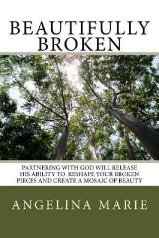 Book Beautifully Broken Angelina Marie