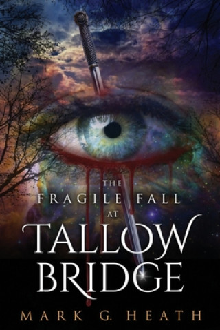 Buch The Fragile Fall At Tallow Bridge MR Mark G Heath