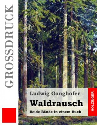 Knjiga Waldrausch (Großdruck): Beide Bände in einem Buch Ludwig Ganghofer