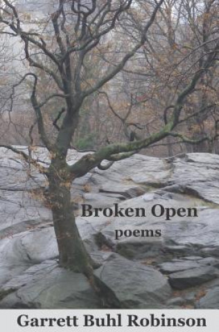 Knjiga Broken Open Garrett Buhl Robinson