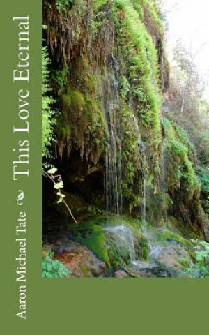 Boek This Love Eternal Aaron Michael Tate