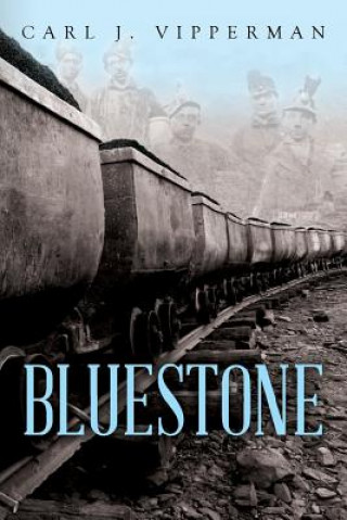 Kniha Bluestone Carl J Vipperman
