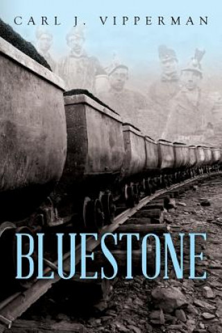 Book Bluestone Carl J Vipperman