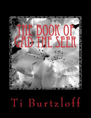Kniha The Book of Gad the Seer: Hmong Translation Ti Burtzloff