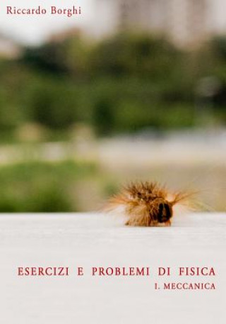 Kniha Esercizi e problemi di Fisica: I. Meccanica Riccardo Borghi