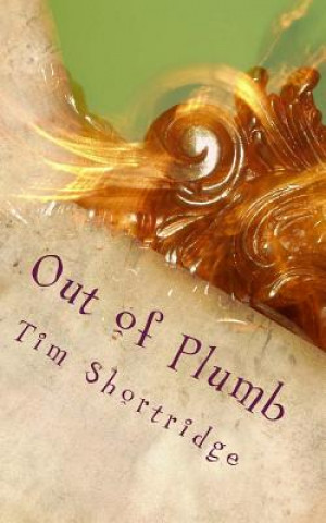 Kniha Out of Plumb Tim Shortridge