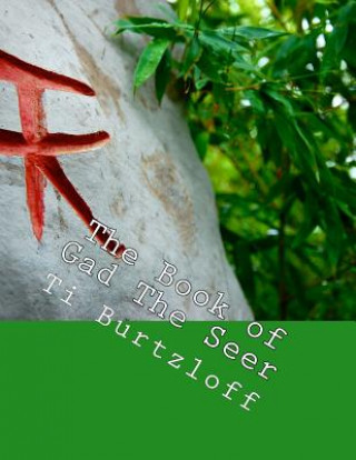 Kniha The Book of Gad The Seer: Danish Translation Ti Burtzloff