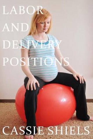 Kniha Labor and Delivery Positions Cassie M Shiels