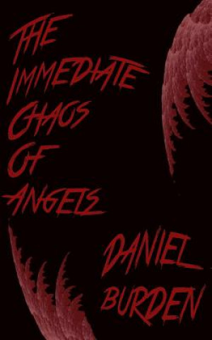 Kniha The Immediate Chaos of Angels Daniel Burden