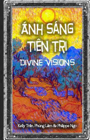 Kniha Divine Visions: Guide for Tarot Beginners Le Tran