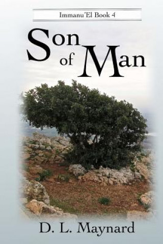 Book Son of Man D L Maynard