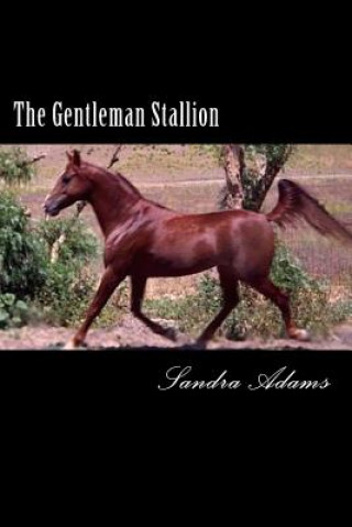 Kniha The Gentleman Stallion Sandra Adams