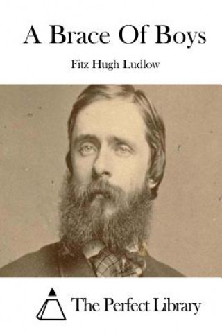 Könyv A Brace Of Boys Fitz Hugh Ludlow