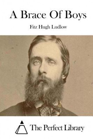 Carte A Brace Of Boys Fitz Hugh Ludlow