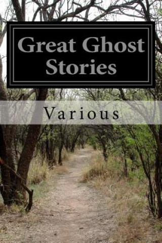 Kniha Great Ghost Stories Various