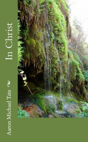 Knjiga In Christ Aaron Michael Tate
