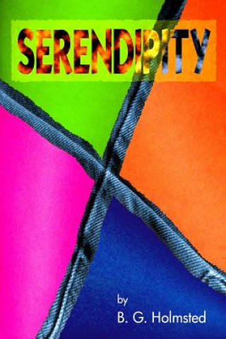 Knjiga Serendipity B G Holmsted