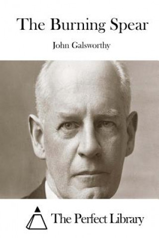 Kniha The Burning Spear John Galsworthy