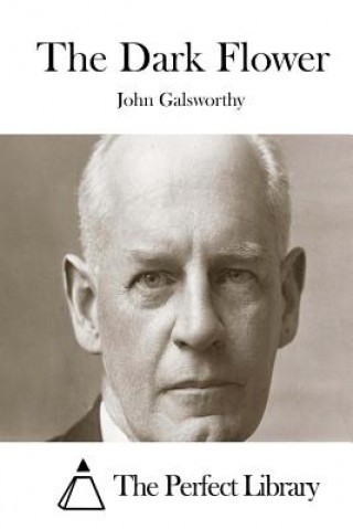 Книга The Dark Flower John Galsworthy