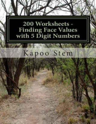 Kniha 200 Worksheets - Finding Face Values with 5 Digit Numbers: Math Practice Workbook Kapoo Stem