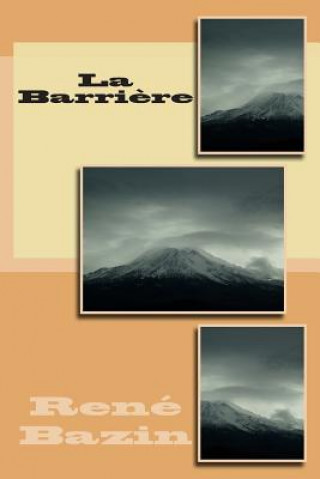 Buch La Barriere M Rene Bazin