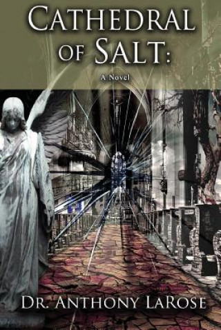 Book Cathedral of Salt Anthony Patrick Larose