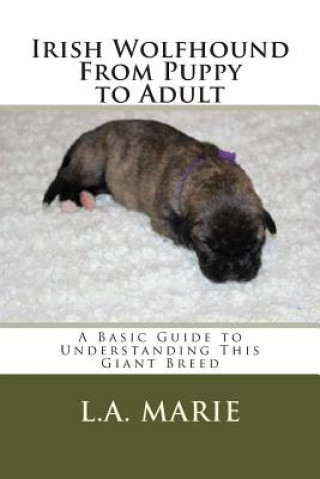 Könyv Irish Wolfhound From Puppy to Adult: A Basic Guide to Understanding This Giant Breed L a Marie