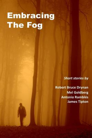 Book Embracing The Fog Mel Goldberg