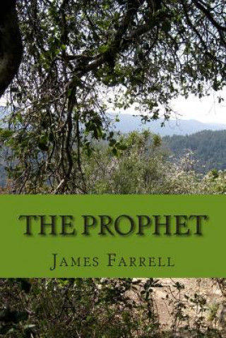 Book The Prophet: A Superhero Novel James Farrell
