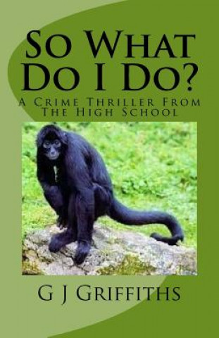 Könyv So What Do I Do?: A Crime Thriller from the High School G J Griffiths