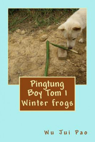 Książka Pingtung Boy Tom 1: Winter frogs Wu Jui Pao