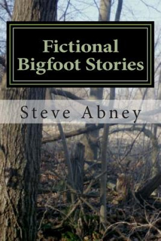 Kniha Fictional Bigfoot Stories MR Steve a Abney