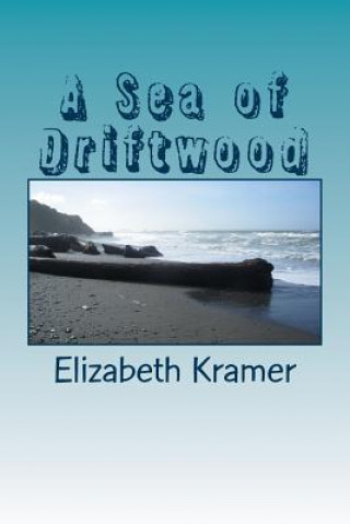 Buch Sea of Driftwood Elizabeth Kramer