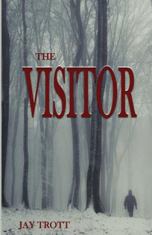 Buch The Visitor MR Jay a Trott