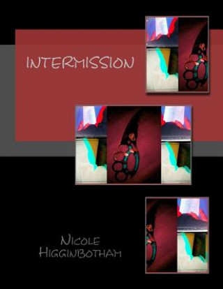 Buch Intermission Nicole Higginbotham
