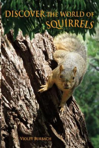 Kniha Discover the World of Squirrels: Illustrated Kids Book with Fun Facts about Squirrels and Builds Kids Vocabulary Violet Burbach