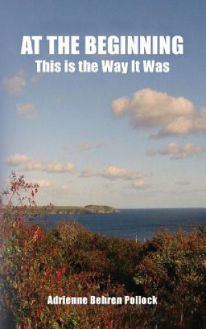 Knjiga At The Beginning: This is the Way It Was Adrienne Behren Pollock