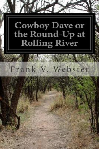 Carte Cowboy Dave or the Round-Up at Rolling River Frank V Webster