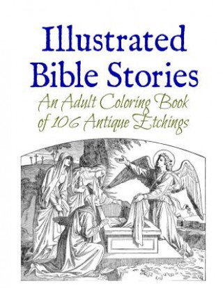 Kniha Illustrated Bible Stories: An Adult Coloring Book of 106 Antique Etchings Marie Wise