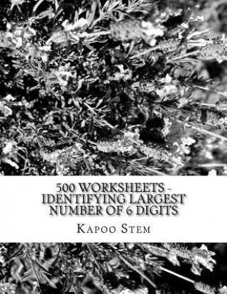 Carte 500 Worksheets - Identifying Largest Number of 6 Digits: Math Practice Workbook Kapoo Stem
