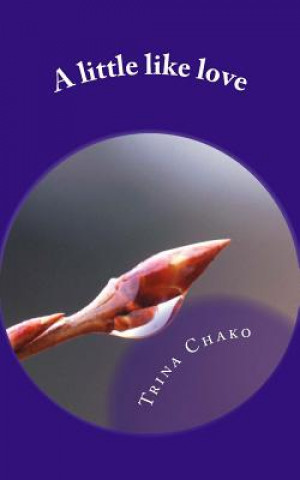Könyv A little like love Trina Chako