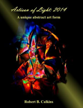 Kniha Artisan of Light: 2014: A unique abstract art form Robert B Calkins