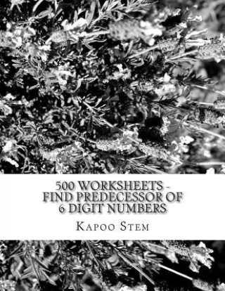 Kniha 500 Worksheets - Find Predecessor of 6 Digit Numbers: Math Practice Workbook Kapoo Stem